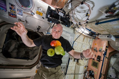 Expedition 44's Scott Kelly juggles fresh fruit, delivered recently aboard the Progress M-28M resupply craft. Kelly is now one-third of the way through his 342-day mission. Photo Credit: NASA