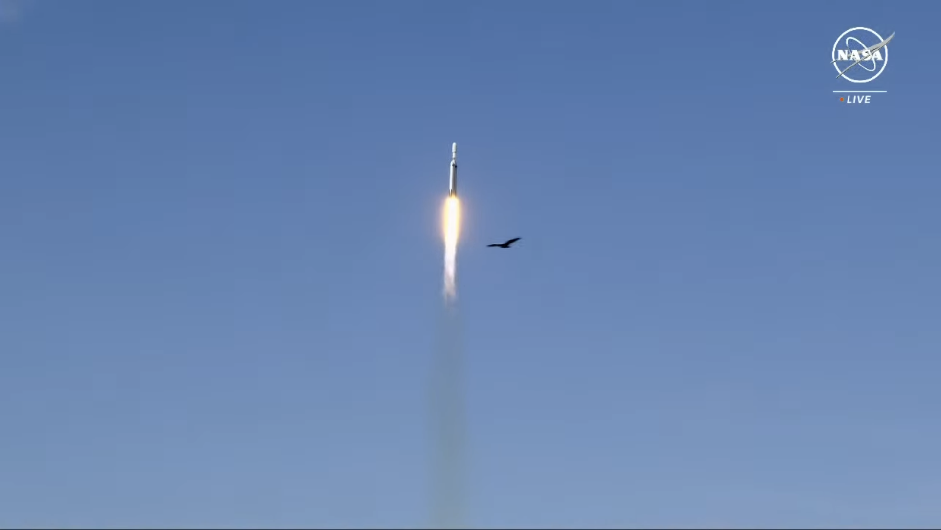 Screenshot-2024-06-25-at-22.46