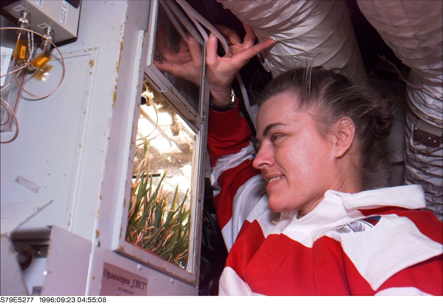 World record holder Lucid watches the growth of plants in a Russian greenhouse aboard Mir. This photograph was taken in September 1996, shortly after the crew of STS-79 - including Lucid's replacement, John Blaha - arrived to bring her home. Photo Credit: NASA