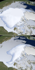 The thickest Arctic sea ice, which once covered most of the Arctic basin, now only covers roughly a third of the area when compared to satellite imagery from 1980. Image Credit: NASA