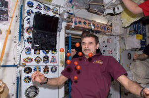 Mikhail Kornienko displays fresh tomatoes, brought to the International Space Station (ISS) by the visiting STS-132 crew during Expedition 23 in May 2010. Photo Credit: NASA