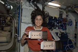 NASA astronaut and ISS commander Suni Williams with Nefertiti's habitat onboard the ISS. Photo Credit: NASA