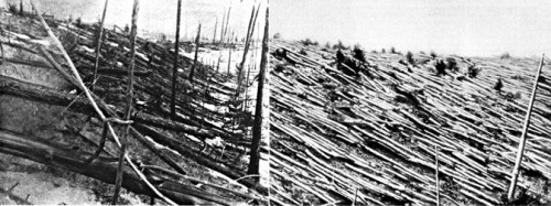 Images acquired during Leonid Kulik's expedition, sponsored by the Soviet Academy of Sciences, in 1927 to the Tunguska site revealed the extent of the devastation from a 3-20-megaton-equivalent air burst. Photo Credit: Soviet Academy of Sciences
