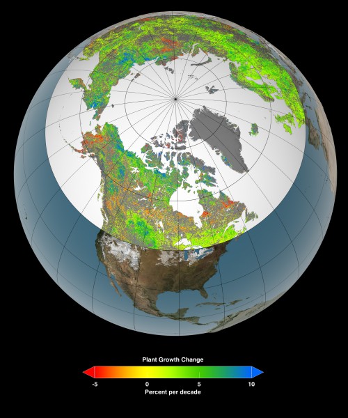 Of the 10 million square miles (26 million square kilometers) of northern vegetated lands, 34 to 41 percent showed increases in plant growth (green and blue), 3 to 5 percent showed decreases in plant growth (orange and red), and 51 to 62 percent showed no changes (yellow) over the past 30 years. Satellite data in this visualization are from the AVHRR and MODIS instruments, which contribute to a vegetation index that allows researchers to track changes in plant growth over large areas. Photo Credit: NASA's Goddard Space Flight Center Scientific Visualization Studio