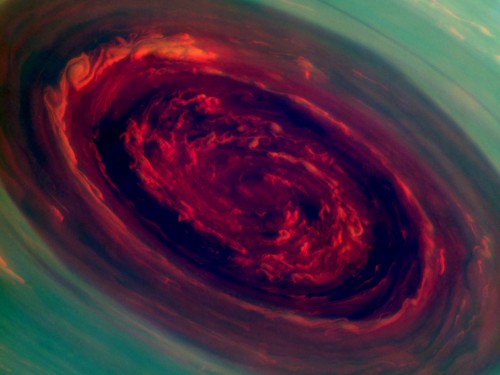 The spinning vortex of Saturn's north polar storm resembles a deep red rose of giant proportions surrounded by green foliage in this false-color image from NASA's Cassini spacecraft. Image Credit: NASA/JPL-Caltech/SSI 