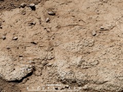 This patch of bedrock, called "Cumberland," has been selected as the second target for drilling by NASA's Curiosity rover. The favored location for drilling into Cumberland is in the lower right portion of the image. Photo Credit: NASA