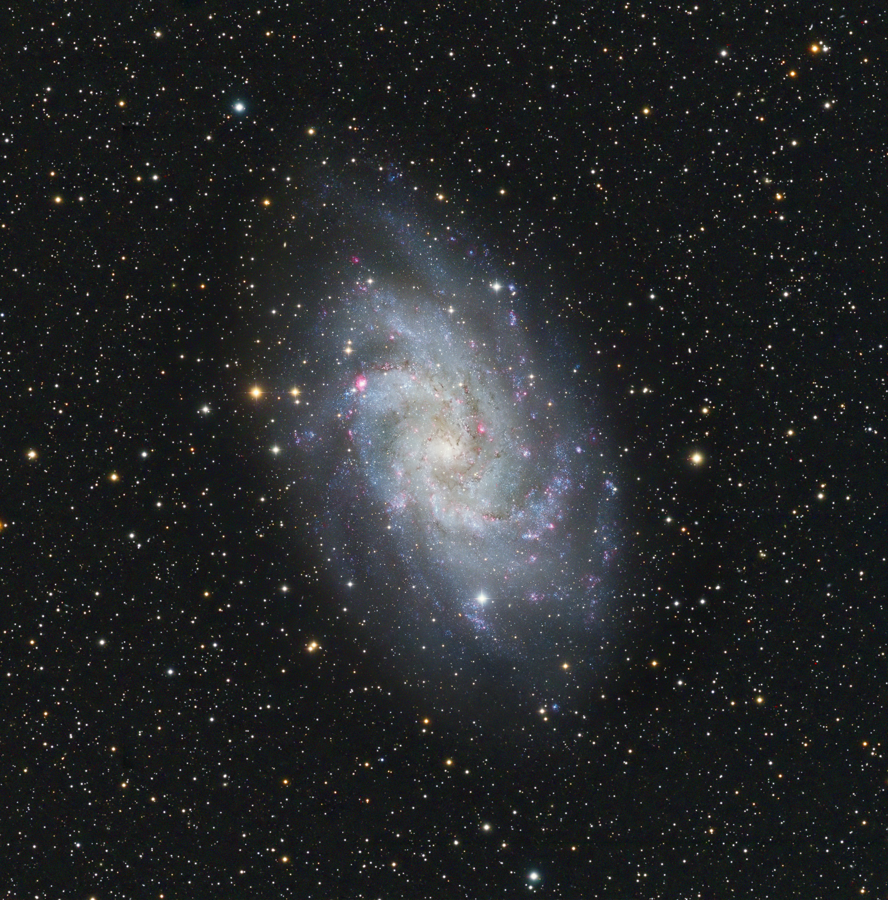 m33 The Triangulum Galaxy. Photo Credit: Chris Hetlage / Imaging the Cosmos