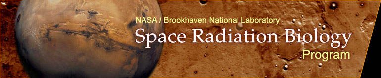 Image Credit: NASA Space Radiation Laboratory at Brookhaven