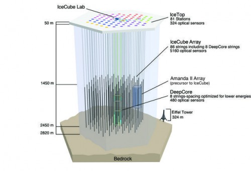 A diagram of the IceCube Neutrino Observatory. The Eiffel Tower is shown to scale at right. Image Credit: IceCube/NSF.