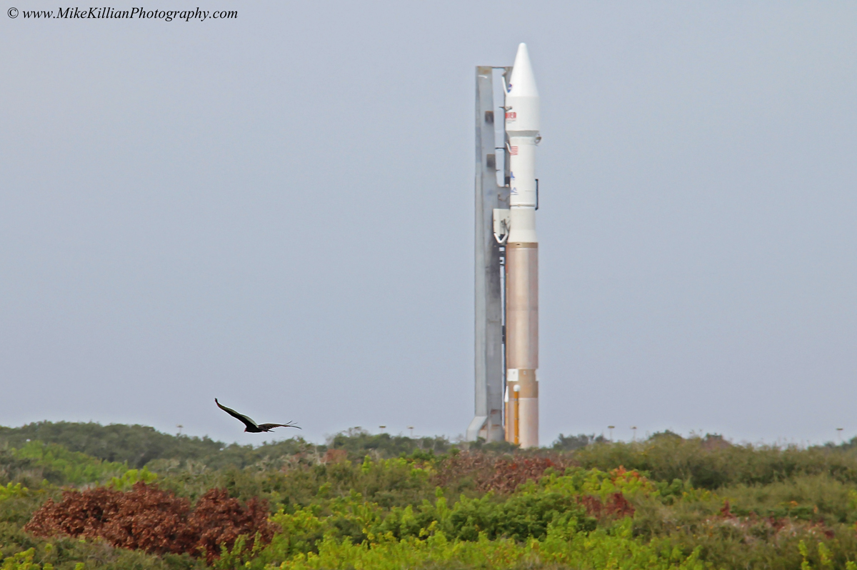The Atlas-V rocket rolls to the launch pad with NASA's Mars-bound MAVEN spacecraft Saturday morning.  Photo Credit: AmericaSpace / Mike Killian