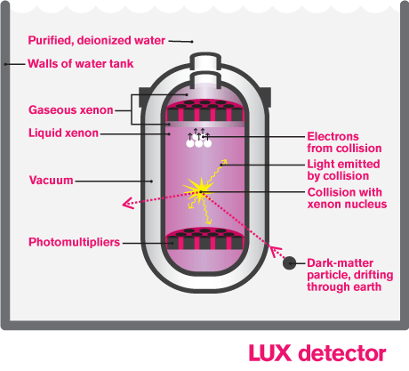 A schematic of the LUX detector. Image credit: Sandbox Studio, Chicago