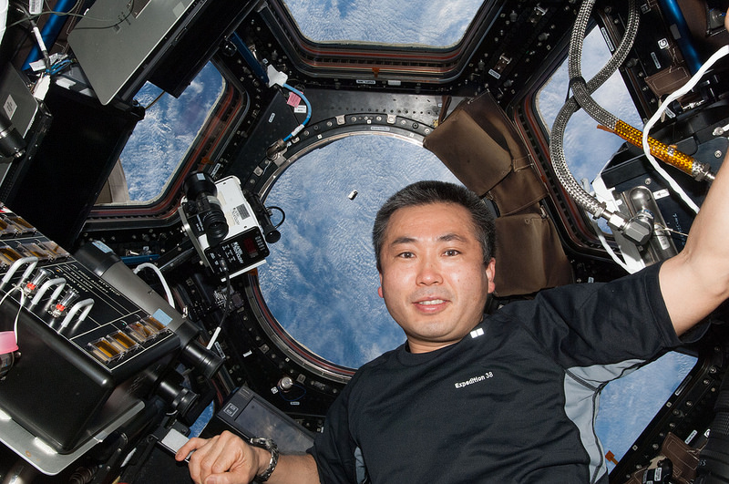 With Cygnus appearing in the circular window of the cupola during its final rendezvous, Koichi Wakata poses for a photograph before using Canadarm2 to grapple the cargo ship on 12 January. Photo Credit: NASA