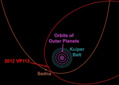 An orbit diagram for the outer Solar System, showing the orbits of 2012 VP113 and Sedna, relative to those of the outer gas giant planets. Image Credit: Scott Sheppard, Department of Terrestrial Magnetism