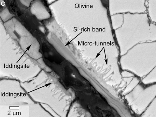 Scanning electron microscope image from inside the Martian meteorite Yamato 000593 (Y000593), showing the tunnels and micro-tunnels. Image Credit: NASA