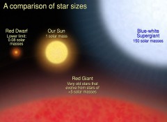 A comparison of different star sizes, shown to scale. Image Credit: NASA, ESA and A. Feild (STScI)