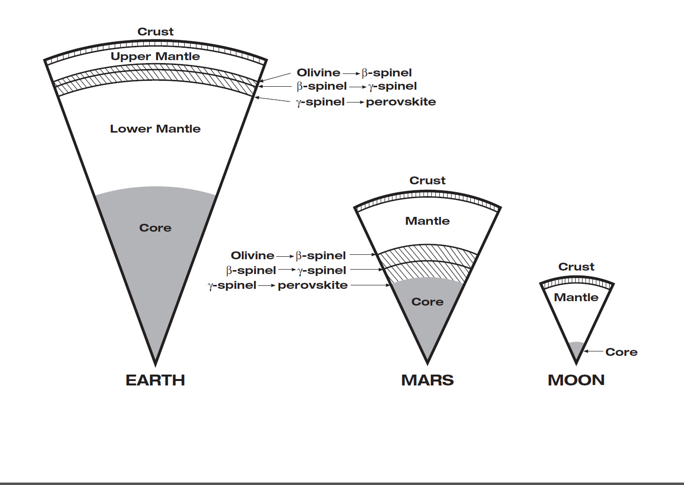 Mars has the same basic internal structure as the Earth and other terrestrial (rocky) planets. It is large enough to have pressures equivalent to those throughout the Earth's upper mantle, and it has a core with a similar fraction of its mass. This diagram shows the depths at which high pressures cause certain minerals to transform to higher-density crystal structures In contrast, the pressure even near the center of the Moon barely reach that just below the Earth's crust and it has a tiny, almost negligible core. The size of Mars indicates that it must have undergone many of the same separation and crystallization processes that formed the Earth's crust and core during early planetary formation. Credit: NASA/JPL 