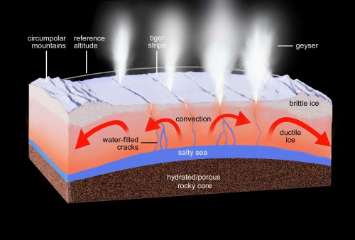 Diagram showing how water from the salty sea below rises up to the surface throughout the fissures, creating the geysers. Image Credit: NASA/JPL-Caltech/SSI