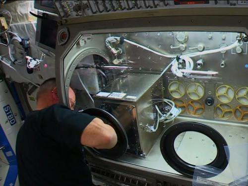NASA astronaut Barry "Butch" Wilmore installs a 3-D printer in the Microgravity Science Glovebox on the International Space Station. Image Credit: NASA​