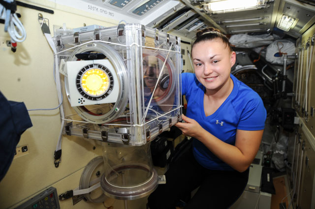 Expedition 42 Cosmonaut and Flight Engineer Elena Serova works in the Russian segment of the International Space Station. Photo Credit: NASA