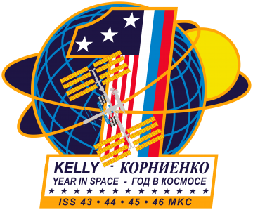 The One Year Crew mission patch. Image Credit: NASA