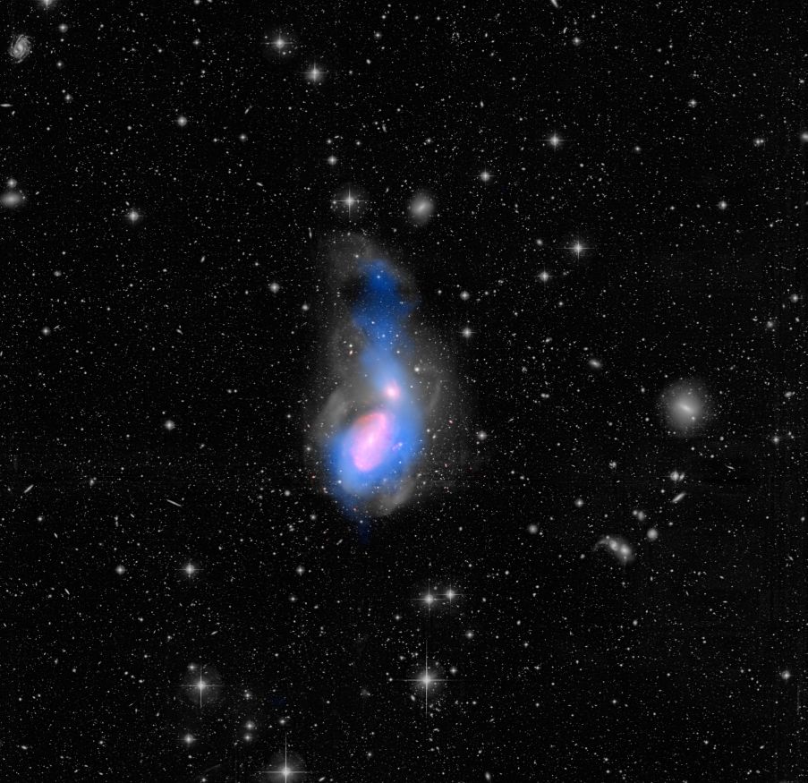 A composite image of the gravitationally interacting galaxies NGC 3226 (at the top) and NGC 3227 (bottom), which clearly shows the tidally generated large structures that surround them as a result of a past collision with a third galaxy. Optical wavelengths in the image are shown in gray scale. The infrared glow of dust is displayed in red, while blue depicts the glow of hydrogen gas in radio wavelengths. Image Credit: NASA/CFHT/NRAO/JPL-Caltech/Duc/Cuillandre
