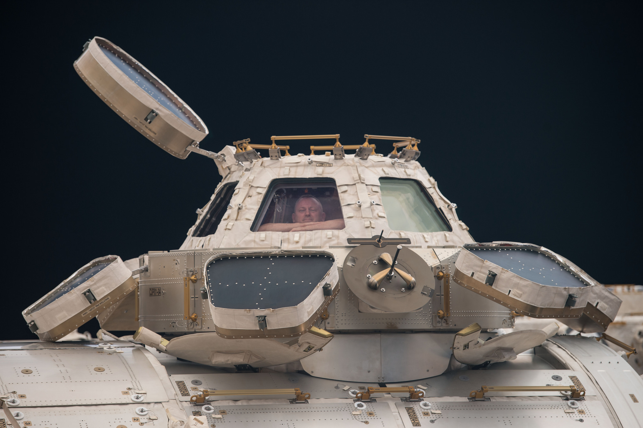 NASA astronaut Barry Wilmore takes in the view from the Cupola viewing station on the International Space Station during a break from science and maintenance duties. The panoramic observatory provides clear views of exterior operations on the station as well as the planet below. Image Credit: NASA