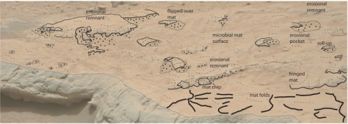 Sketch overlay of the Gillespie Lake sandstone rock outcrop, indicating features similar to microbial mats on Earth. Image Credit: NASA/Nora Noffke/Astrobiology/Mary Ann Liebert, Inc.