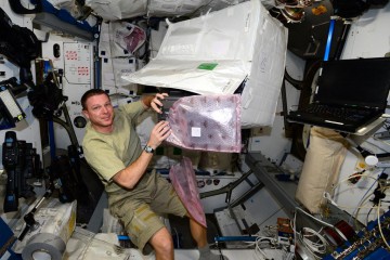 NASA astronaut Terry Virts packing stuff that will return to Earth on the SpaceX CRS-5 Dragon, which is scheduled to fly to ISS this week. Photo Credit: Terry Virts / NASA (@AstroTerry via Twitter)