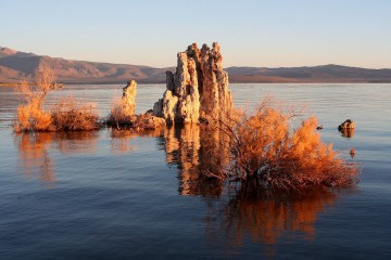 Mono Lake in California, a high-alkaline soda lake. Tufa towers of calcium carbonate have formed from the interaction of freshwater springs and alkaline lake water. Photo Credit: Brocken Inaglory/Wikimedia Commons