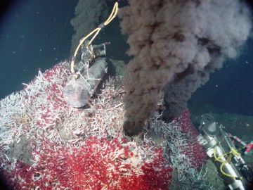 Hydrothermal vent on the ocean bottom on Earth, an oasis for various life forms. Similar vents are now thought to exist in the ocean inside Enceladus as well. Photo Credit: NOAA/PMEL