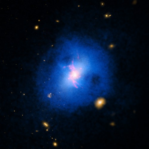 From NASA: " A new Chandra study of over 200 galaxy clusters has helped determine how giant black holes at their centers affect the growth a nd evolution of their host galaxy. This study, which includes Abell 2597 shown here, revealed that an unusual form of cosm ic precipitation enables a feedback loop of cooling and heating, stifling star formation in the middle of these galaxy clusters. This image of Abell 2597 contains X-rays from Chandra (blue), optical data from Hubble and the Digitized Sky Survey (yellow), and emission from hydrogen atoms (red) from the Walter Baade Telescope in Chile." Image Credit: NASA/CXC/ Michigan State Univ/M.Voit et al; Optical: NASA/STScI & DSS; H-alpha: Carnegie Obs./Magellan/W.Baade Telescope
