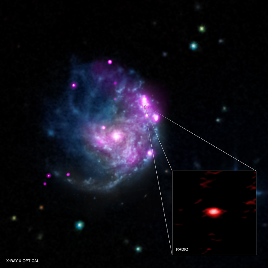 From NASA: " A newly discovered object in the galaxy NGC 2276 may prove to be an important black hole that helps fill in the evolutionary story of these ex otic objects. This source , known as NGC 2276-3c, is likely an intermediate-mass black hole with about 50 ,000 times the mass of the Sun. The main graphic shows a composite image of the whole galaxy, with X-rays from Chandra (pink) and optical data (red, green, and blue). The inset zooms into just NGC 2276-3c and reveals its emission in radio waves, including a jet produced by the black hole that appears to be squelching star formation." Image Credit: X-ray: NASA/CXC/SAO/M.Mezcua et al & NASA/CXC/INAF/A.Wolter et al; Optical: NASA/STScI and DSS; Inset: Radio: EVN/VLBI 