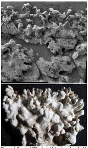 The "Elizabeth Mahon" feature seen by the Microscopic Imager on Spirit (top), compared with columnar sinter from El Tatio (bottom). Both images are about 5 cm across. Image Credit: NASA?JPL-Caltech/School of Earth and Space Exploration, Arizona State University