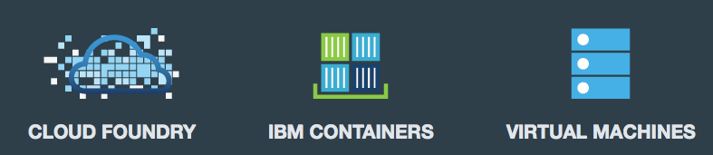IBM Bluemix application development platform