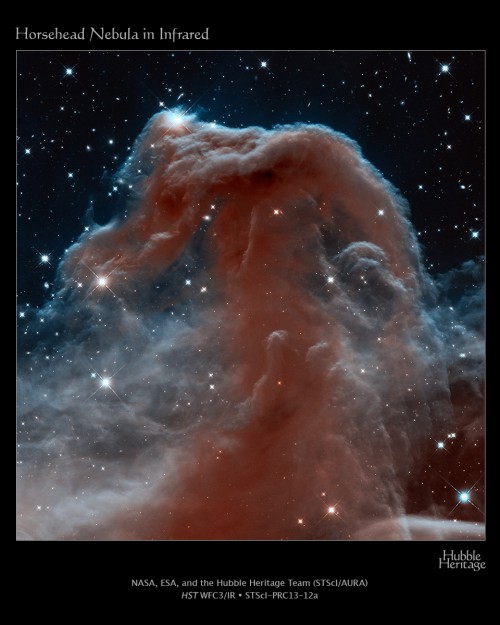 The iconic Horsehead Nebula as seen by Hubble in infrared wavelengths. Image Credit: NASA, ESA, and the Hubble Heritage Team (STScI/AURA)