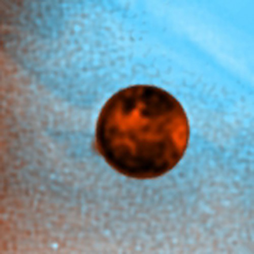 A hubble image of a 400-km-high plume of gas and dust from a volcanic eruption on Io, Jupiter's large innermost moon. Image Credit: John Spencer, Lowell Observatory, and NASA/ESA