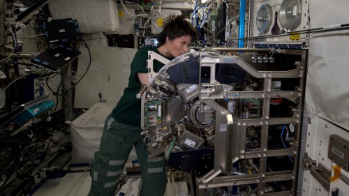 ESA astronaut Samantha Cristoforetti prepares the Biolab experiment rack for starting Triplelux-B on March 19. Ending its run this week, Triplelux-B is investigating changes in the immune system of cells. Photo Credit: NASA