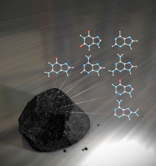 A type of meteorites, called carbonaceous chondrites, have been found to contain a variety of complex organic chemistry and even a variey of nucleobases of extraterrestrial origin, which are the building blocks of RNA and DNA. Image Credit: NASA Goddard Space Flight Center/Chris Smith