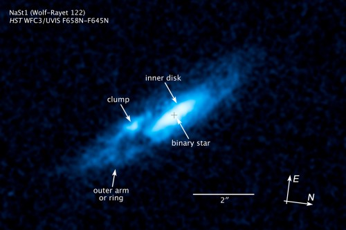 A visible-light image of NaSt1 taken with the Hubble Space Telescope, which reveales the star's surrounding pancake-shaped disk of gas, as well as a hot clump of dust, indicating that recent dust formation has just taken place. Image Credit: NASA, ESA, and J. Mauerhan (University of California, Berkeley)