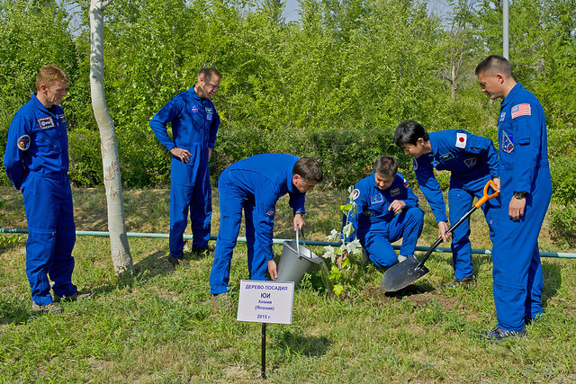 The Soyuz TMA-17M prime and backup crews participate in a traditional tree-planting ceremony, ahead of launch. From left are Tim Peake, Tim Kopra, Yuri Malenchenko, Oleg Kononenko, Kimiya Yui and Kjell Lindgren. Photo Credit: NASA