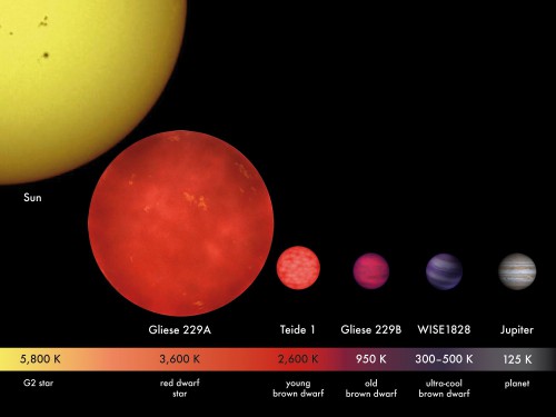 The relative sizes of various stellar objects compared to the Sun. Even though not a star, Jupiter is also shown at far right for comparison. Image Credit: Wikipedia
