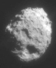 The first amino acids in a comet were found in comet Wild 2 by the Stardust spacecraft. Image Credit: NASA/JPL