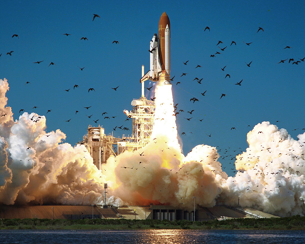 Flocks of terrified birds fly away in the face of Challenger's roaring ascent from Pad 39B at 11:38 a.m. EST on 28 January 1986. Photo Credit: NASA, via Joachim Becker/SpaceFacts.de