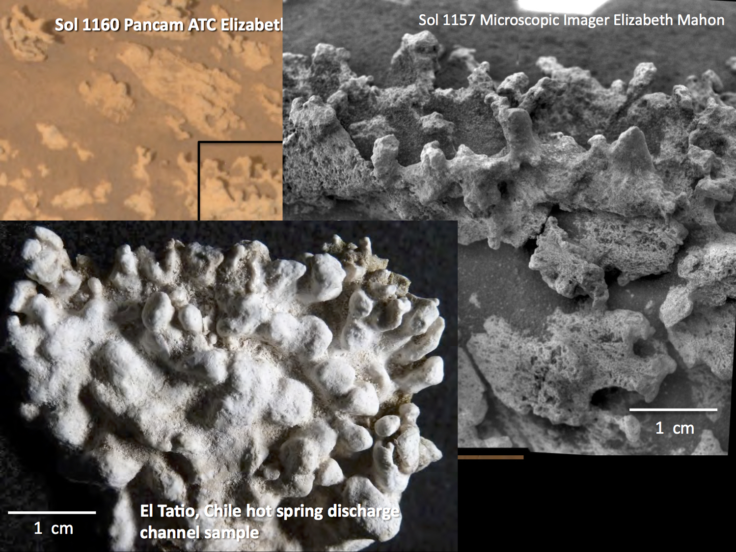 Microscopic Imager view of silica formations on Mars compared to ones from El Tatio in the Atacama Desert, Chile. Image Credit: Elizabeth Mahon