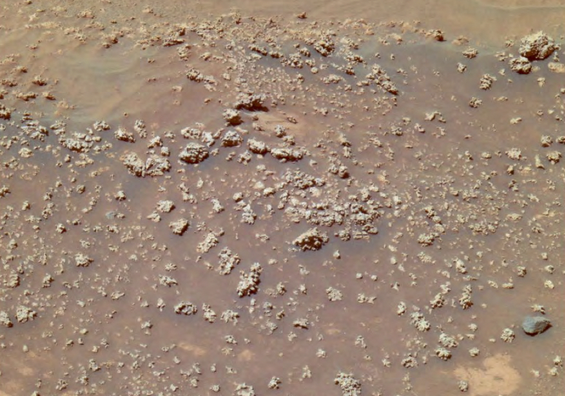 Image of "cauliflower" silica formations found by the Spirit rover in 2008 near Home Plate in Gusev crater. Do they hold clues to ancient life on Mars? Photo Credit: NASA/JPL-Caltech