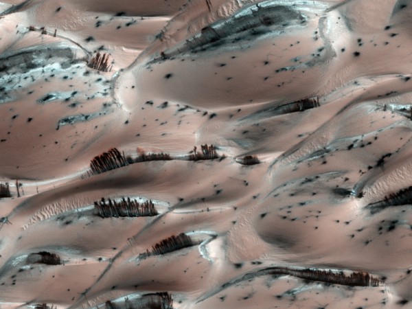 One of those most peculiar-looking images sent back by MRO; the streaks look like trees but are actually spots where CO2 ice is sublimating away from darker sand dunes when temperatures become a bit warmer. Photo Credit: NASA/JPL-Caltech