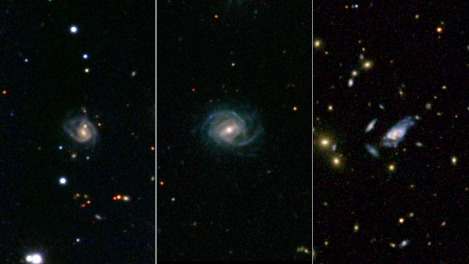 A team of astronomers has recently discovered a total of 53 'super spiral' galaxies which are enormous in size, three of which are shown in the image above. The galaxies shown at the left and center images also exhibit a double nucleus, which could be the result of a past galactic merger. Image Credit: Sloan Digital Sky Survey
