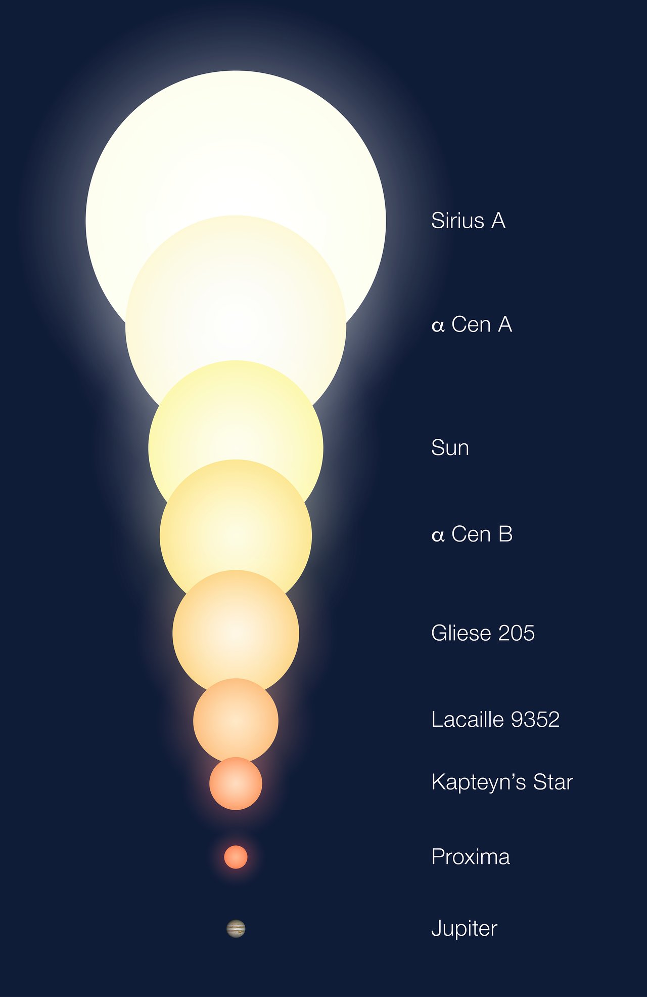 The relative sizes of Proxima Centauri, Alpha Centauri A, Alpha Centauri B and some other stars, including the Sun. Image Credit: ESO