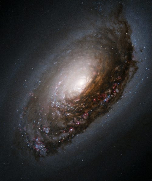 The "Black Eye" galaxy, as seen by the Hubble Space Telescope. It is actually two galaxies which have merged together, much like is now thought to have happened frequently earlier in the Universe's history. Photo Credit: NASA/Hubble Heritage Team