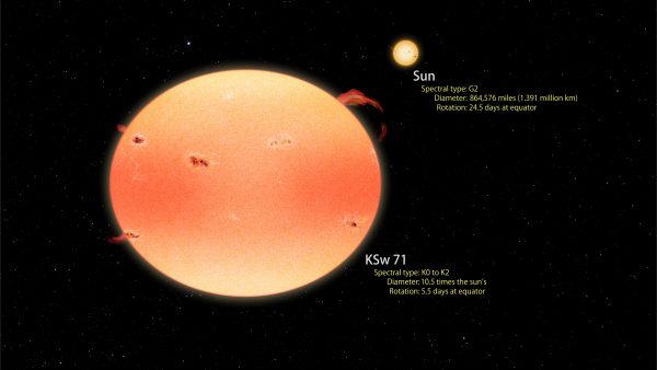 Artist's conception of the most extreme "pumpkin star" found by Kepler so far, KSw 71, which is much larger than our Sun and rotates four times faster. Image Credit: Goddard Space Flight Center/Francis Reddy